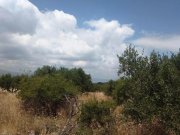 Kefalas Chania Grundstück mit Meerblick in traditionellem Dorf auf Kreta Grundstück kaufen